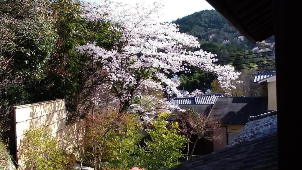 金閣荘 Hotel Kyoto Buitenkant foto